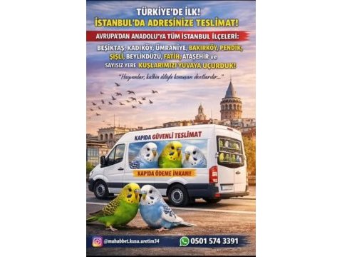 İstanbulda kapıda teslim ve ödeme muhabbet kuşu