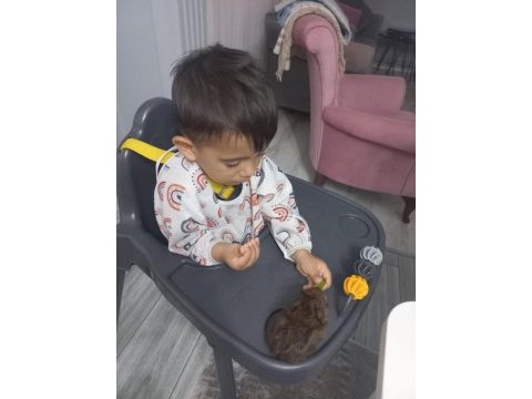 Ginepig yavrumuz satılıktır