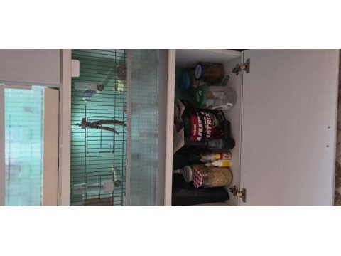 3 katlı üretim kafesi sıfır ayarında muhabbet kuşu