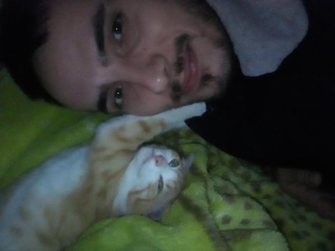 Lütfen bir an önce tekir