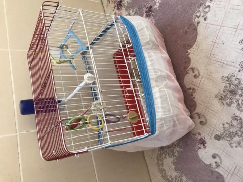 Muhabbet kuşu kafesi