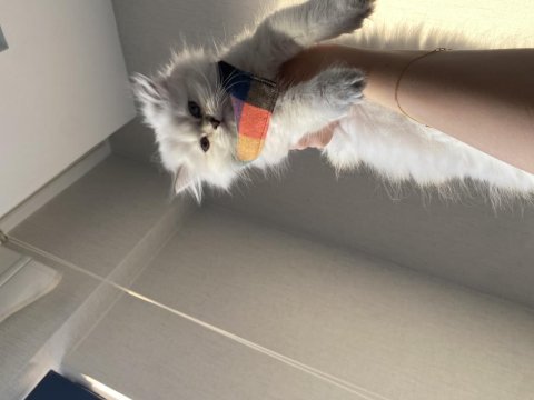 Çok tatlı bebişlerr