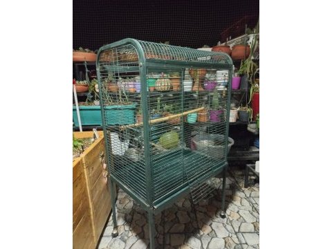 Macaw kakadu sultan papağanı kafes