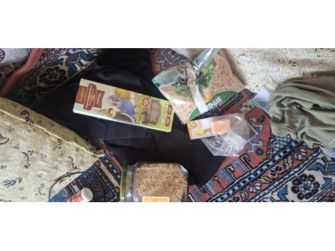 Tam malzemeli çift sağlıklı muhabbet kuşları