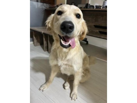 Ayda kızımıza yuva arıyoruz