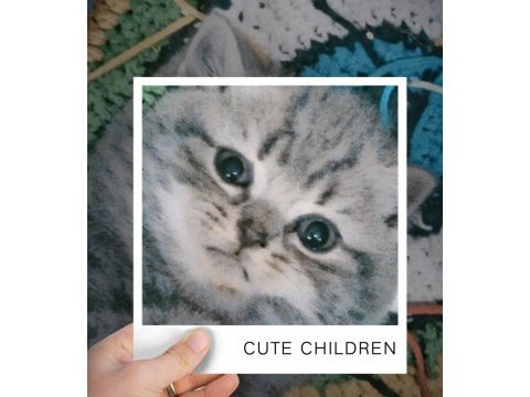 4 nisan doğumlu dişi british shorthair