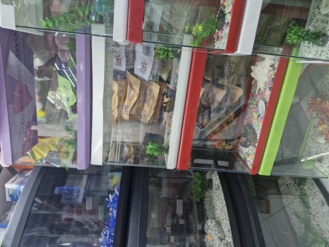 Plastik kapalı akvaryumlar