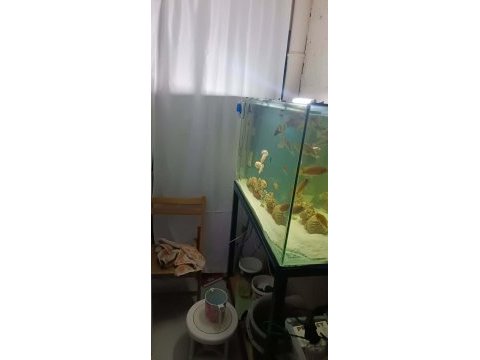 1 metre akvaryum
