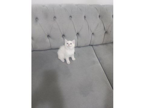 Bal küpü oyuncu kızımız yuvasını arıyor