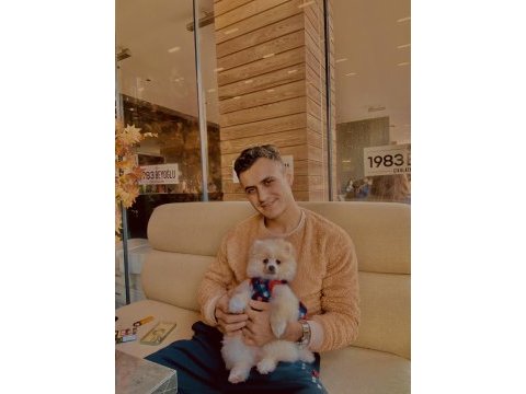 Uygun fiyata güzel pomeranian kızımı sahiplendireceğim