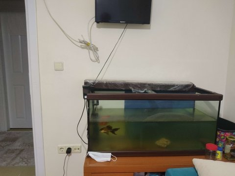 Akvaryum 200 l olup ihtiyaçtan dolayı acil satılıktır.