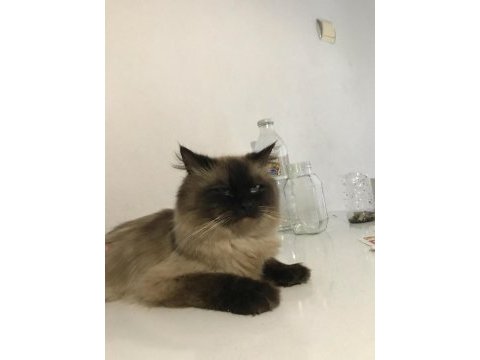 Oğlumuza sıcak yuva arıyoruz