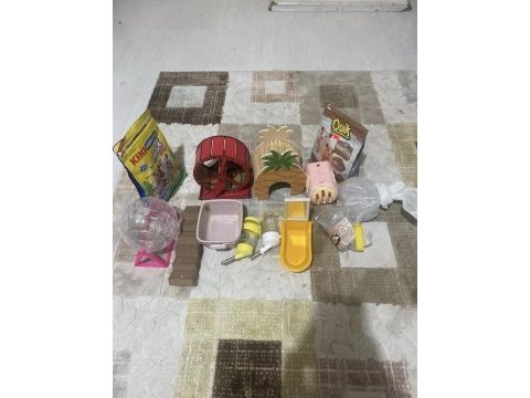 Evcil 8 aylık suriye hamster