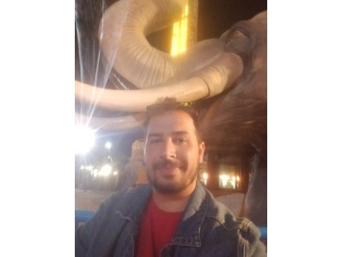 Yavru kedimiz