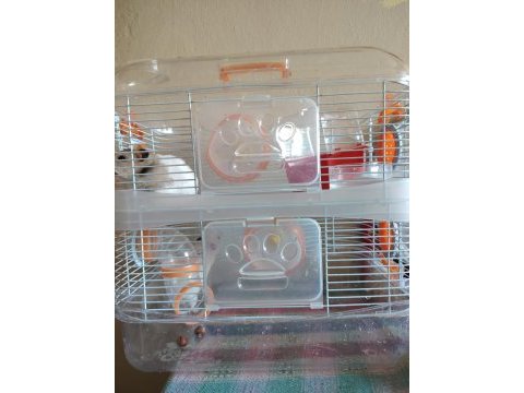 2 katlı kafesiyle çift hamster