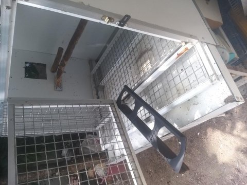 Jako papağanı üretim kafesi ve yuvalık