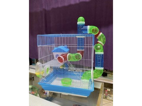 Petshop lara hamster çıkış noktası