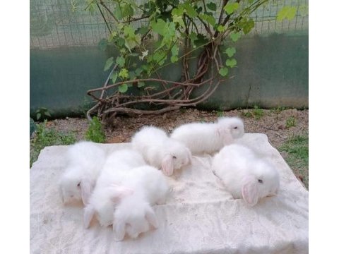 Tüm şehirlere sorunsuz gönderim