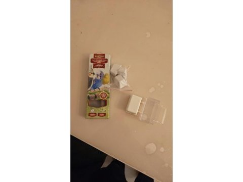 Takım damızlık sultan papağanı 2 yumurta yaptı