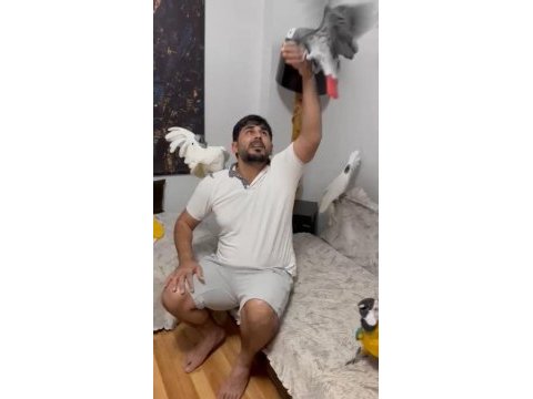 Kakadu isteyen varsa buyursun kapımız açıktır