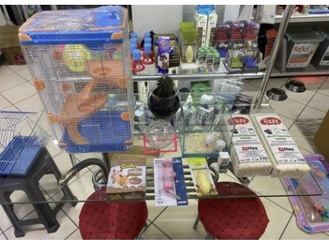 Hamster dair herşey antalya hamster çiftliği (bfa)