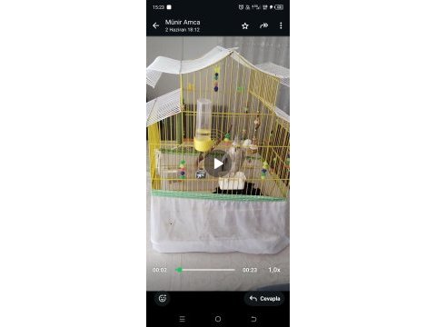 4 aylık wifi sultan papağanı kafesiyle birlikte erkek