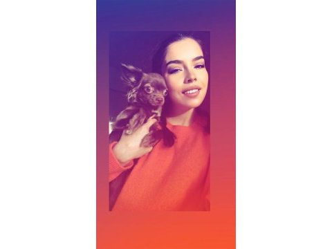1 yaşında dişi şivava