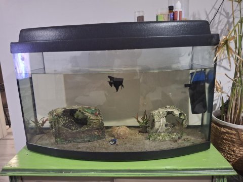 100 litre akvaryum