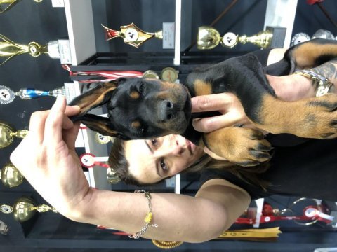 Dünyaca ünlü doberman torunu
