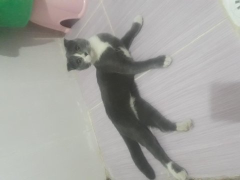 Duman seni bekliyor