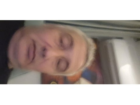 Full evcil en az 10 kel var evcimen kuşumuz