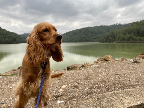 Ruby mize ömürlük yıva