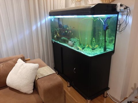 125×50×45 cm mobilyalı ithal akvaryum