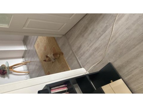 Şivava oğluma yuva arıyorum