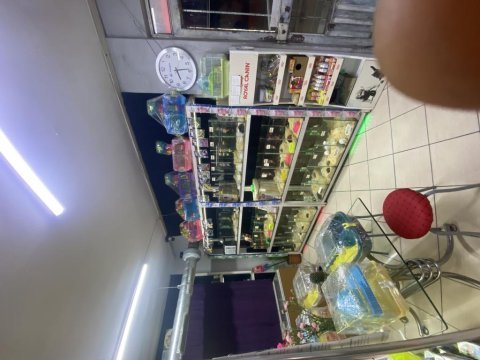 Antalya da adrese teslim hamster ve kafes