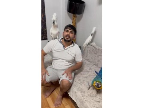 Kakadu isteyen varsa buyursun kapımız açıktır