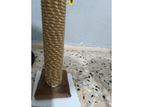 Oyuncul kedimiz