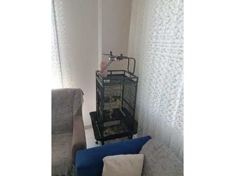 Kafesle beraber sultan papağanı verilecektir