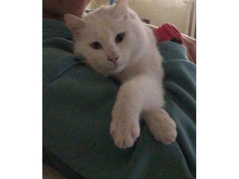Pamuk için umut olmak istermisin