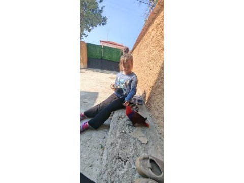 Evcil 1 yaşında sosyal konuşan dişi eclektus