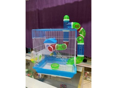 Tüm petshop'lara hamster buradan çıkıyor