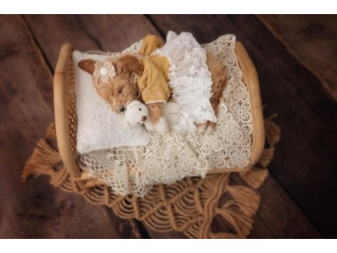 Maltipoo miniklerim