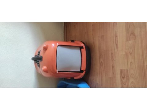 Siyam kedisi herşeyiyle verilecektir