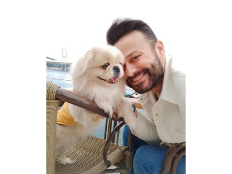 Pekinez köpeğime eş arıyorum