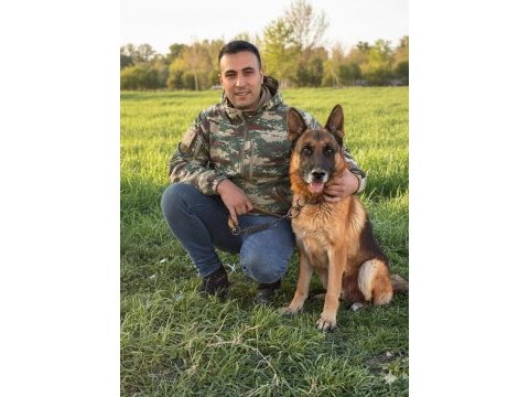 46 günlük dev alman kurdu yavruları