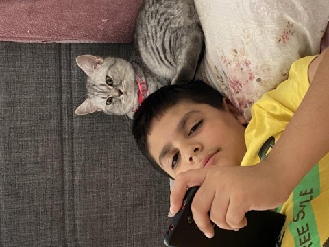 Evcil cins kedimiz