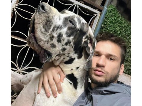 Danua yavrularımız yeni ailelerini bekliyor