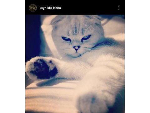 Çok sakin ve seveceb 1 kez doğum yaptı