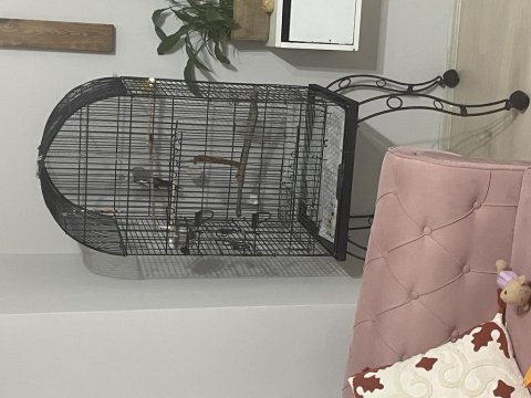 Büyük kafes
