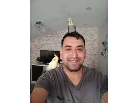 Full evcil insan canlısı aile üyesi kuşumuz